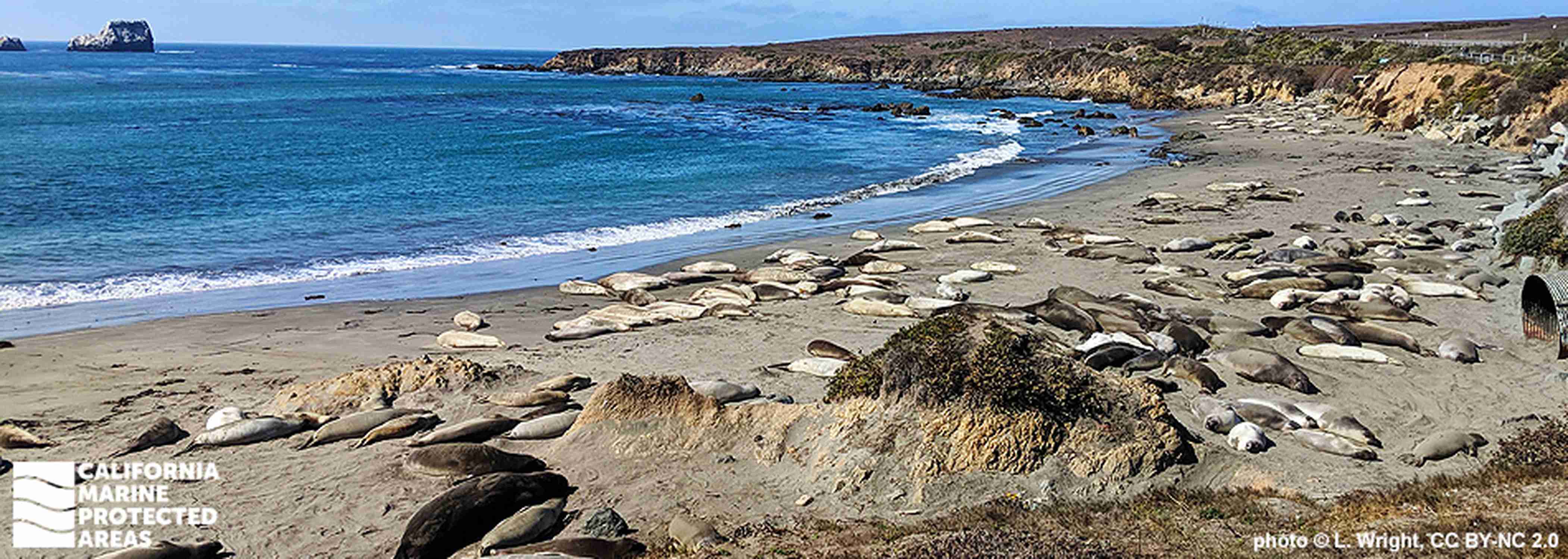 Piedras Blancas State Marine Reserve - Photo 1