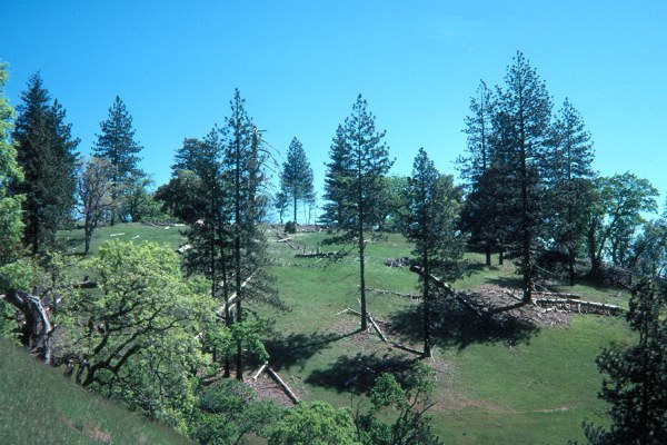 Henry W. Coe State Park - Photo 1