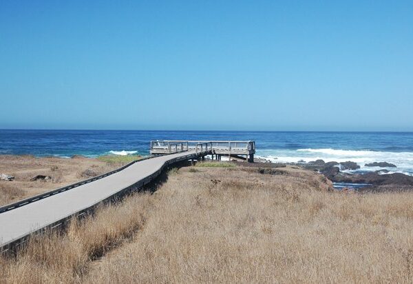 MacKerricher State Park - Photo 1
