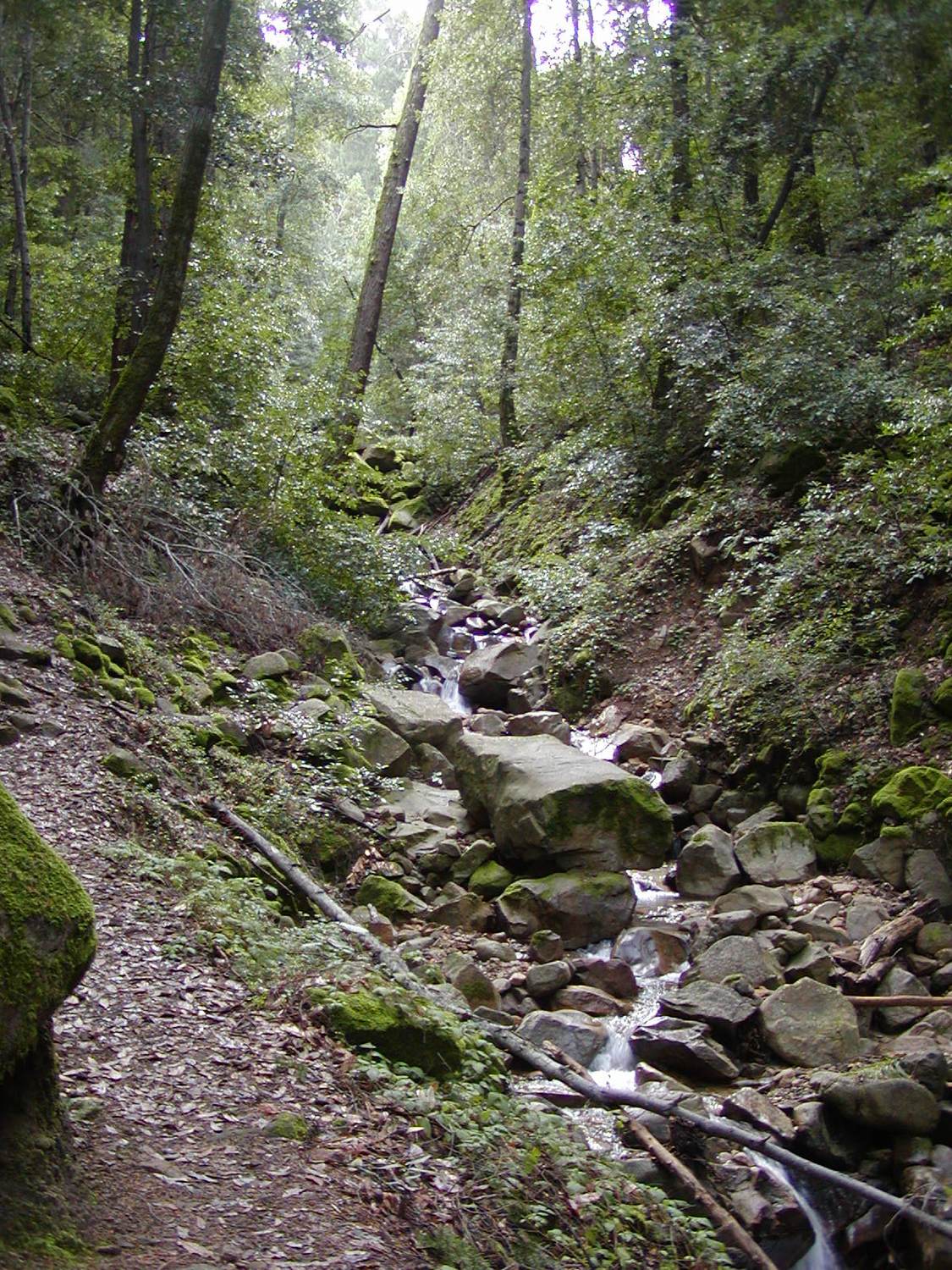 Uvas Canyon County Park - Photo 1