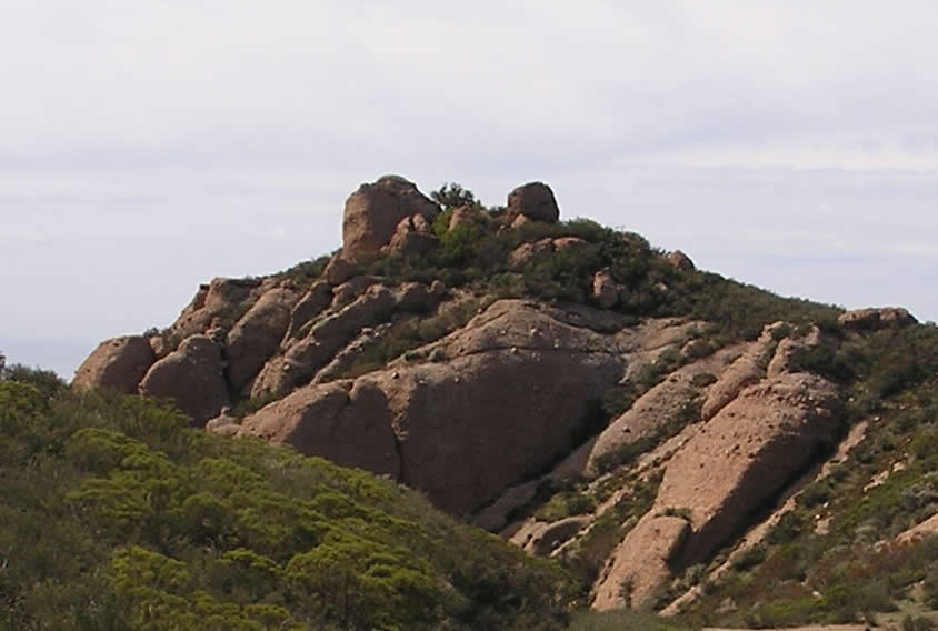 Boney Mountain State Wilderness - Photo 1