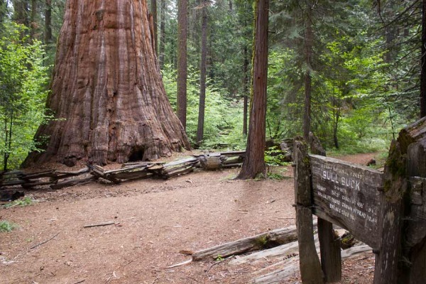Nelder Grove Historical Area - Photo 1