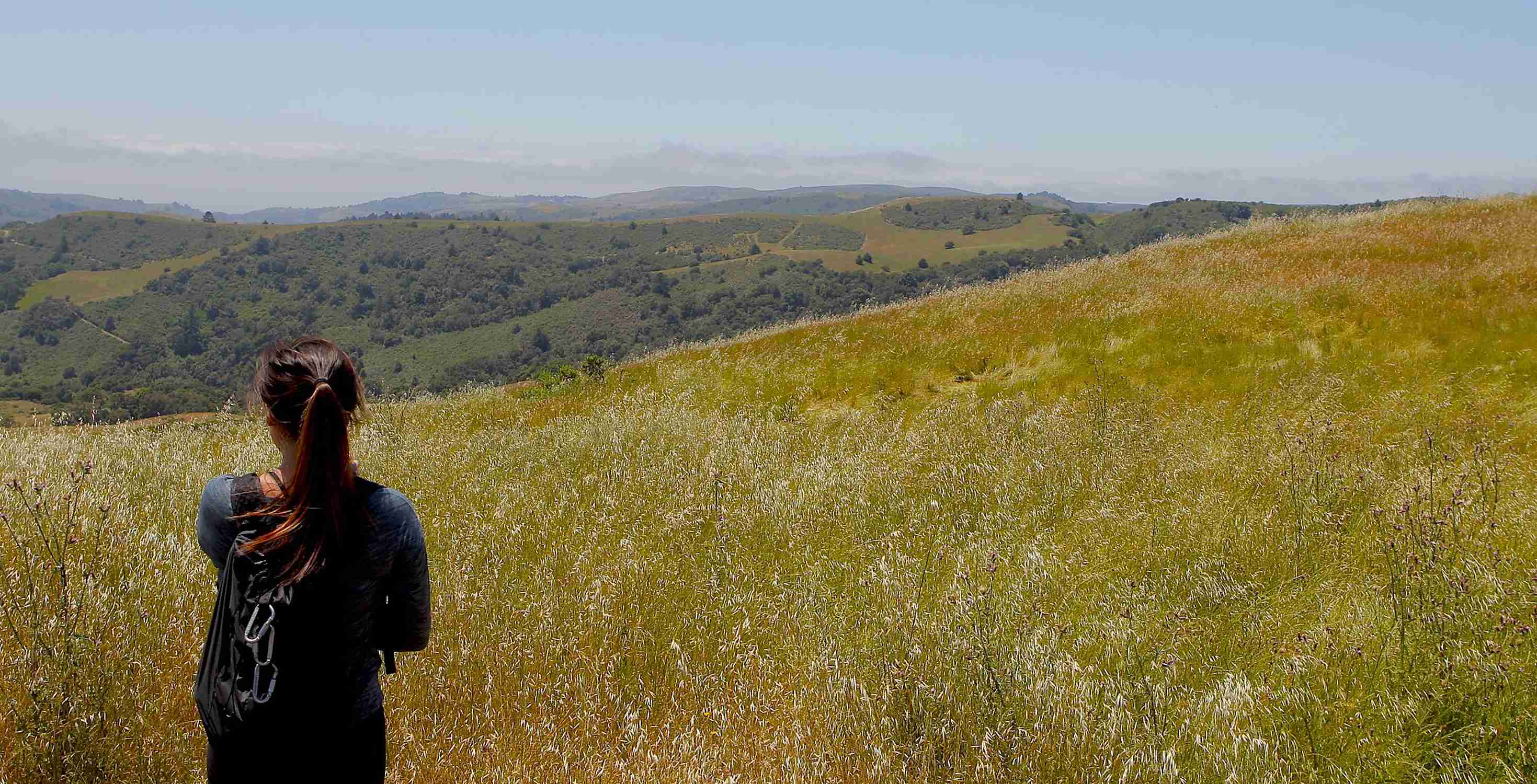 La Honda Creek Open Space Preserve - Photo 1