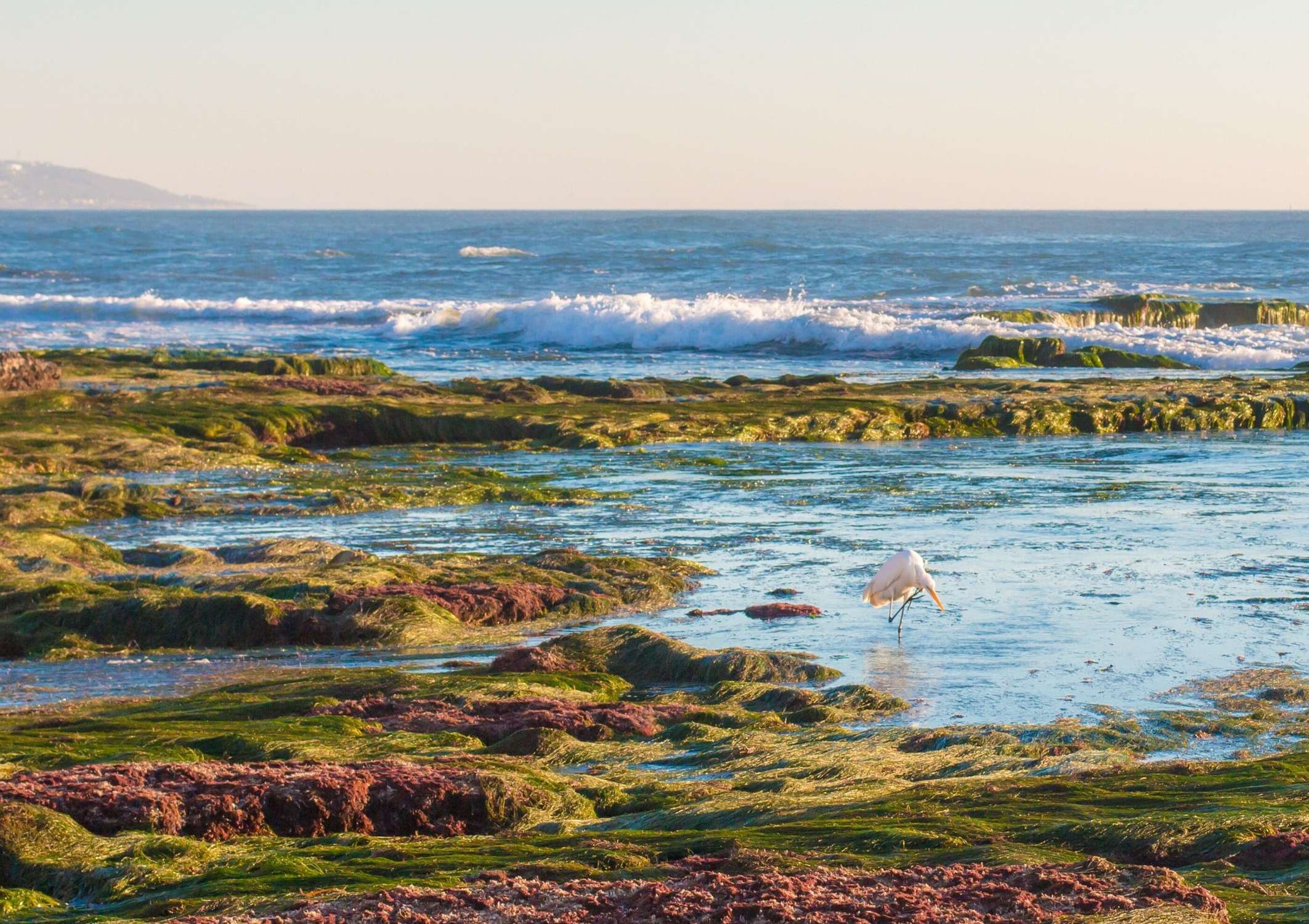 Tidepools - Photo 1
