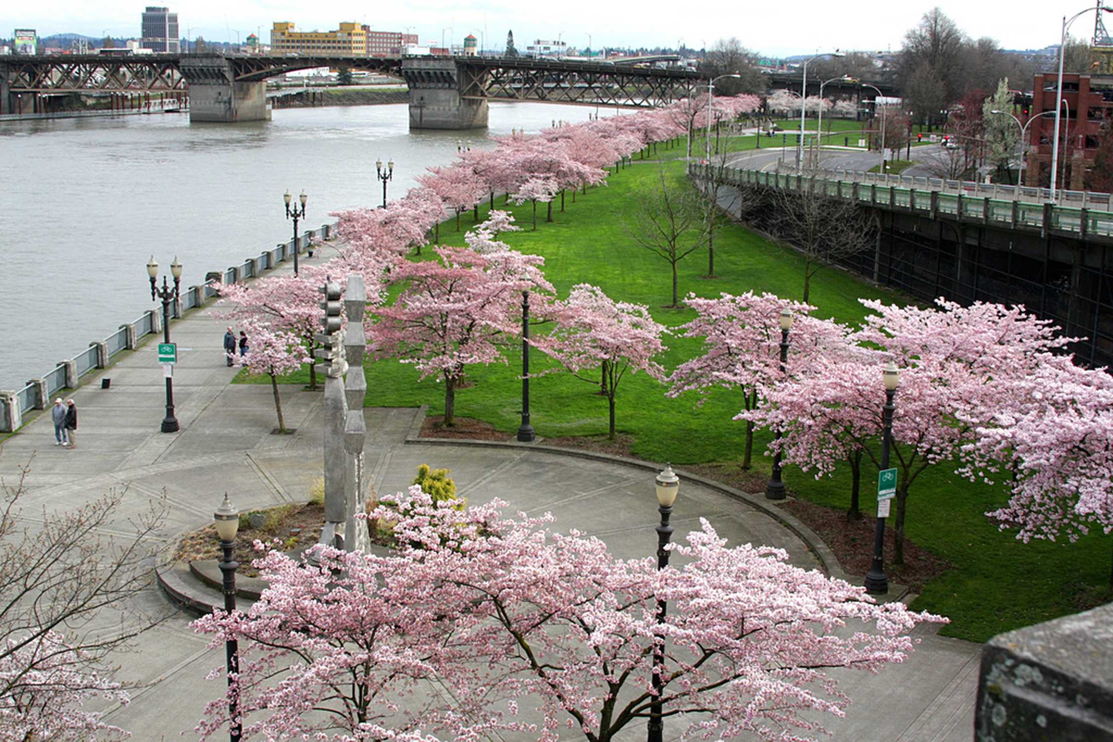 Governor Tom McCall Waterfront Park - Photo 1