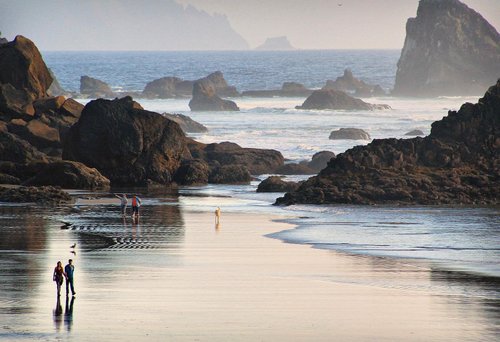 Ecola State Park - Photo 1
