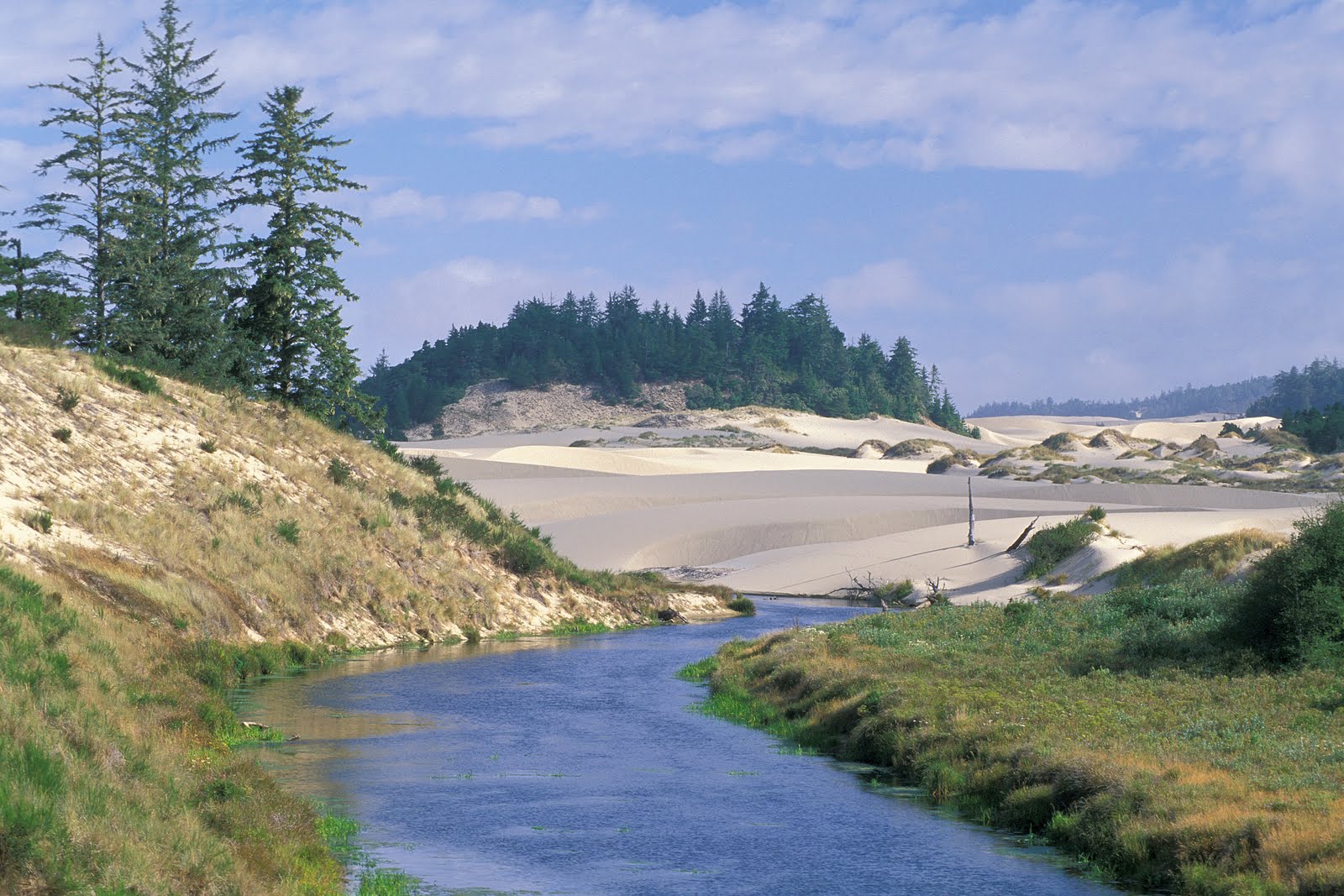 Siuslaw National Forest - Photo 1