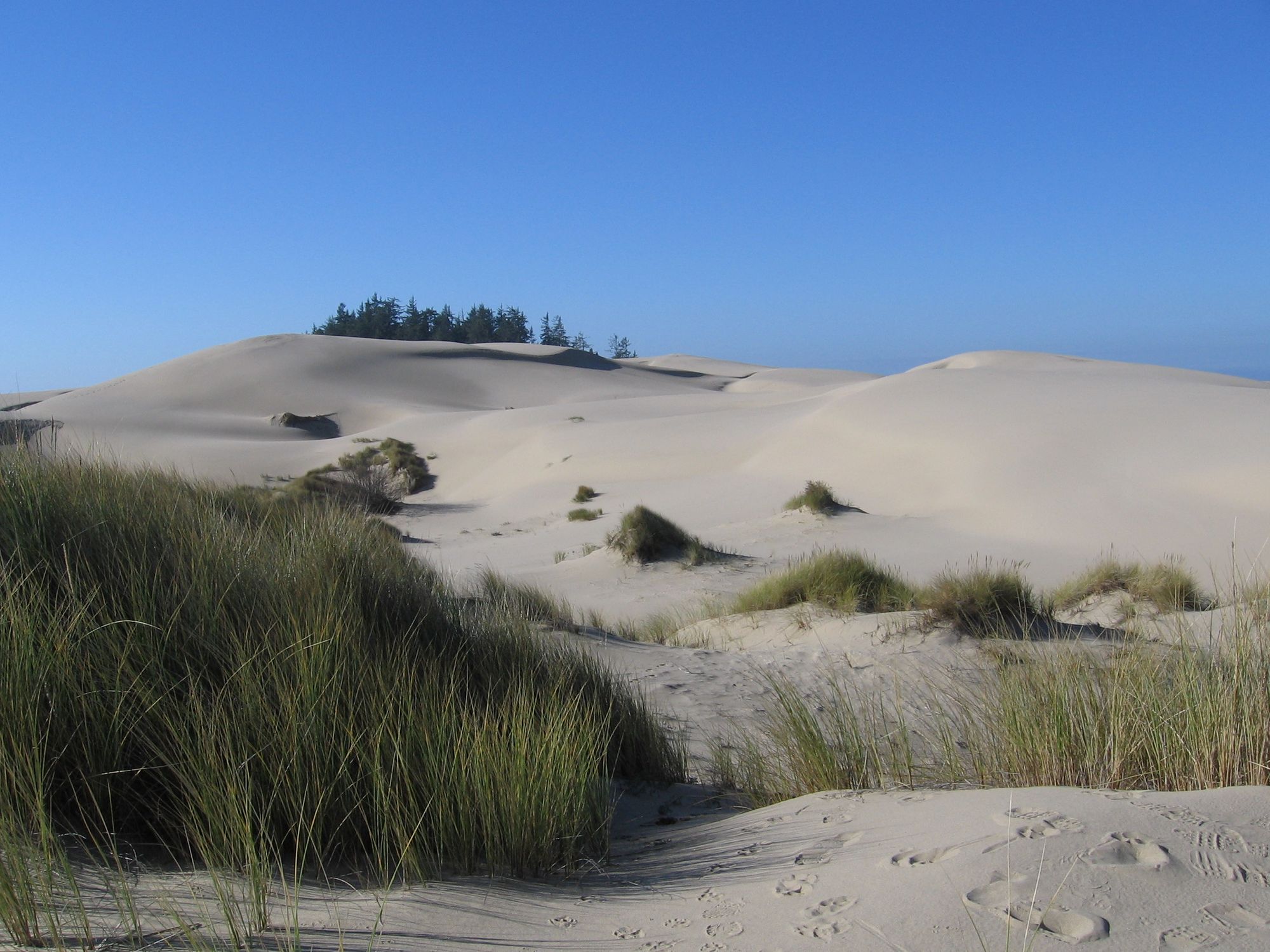 Oregon Dunes National Recreation Area - Photo 1