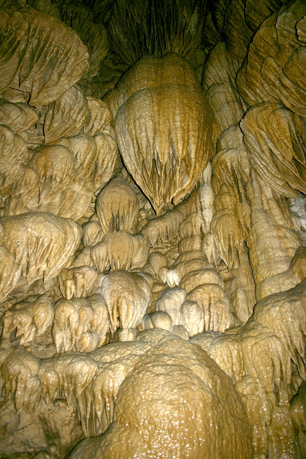 Oregon Caves National Preserve - Photo 1