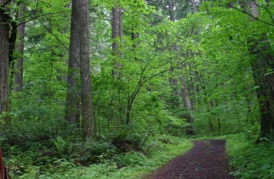 Ainsworth State Park - Photo 1