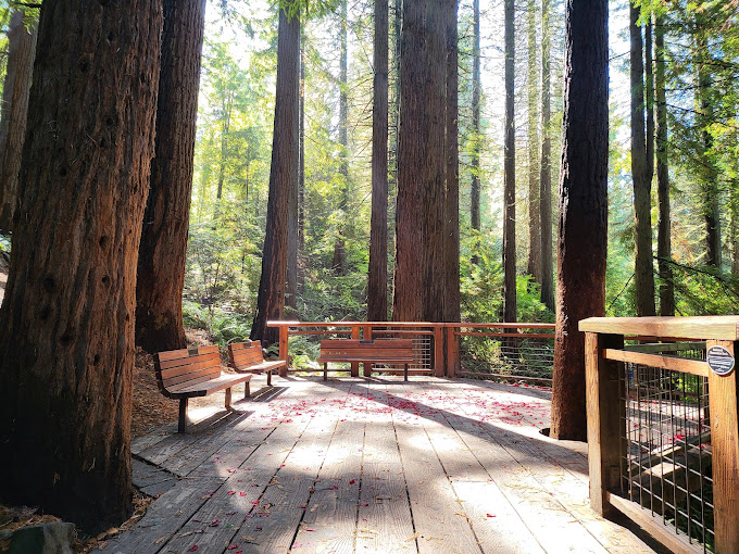 Hoyt Arboretum - Photo 1