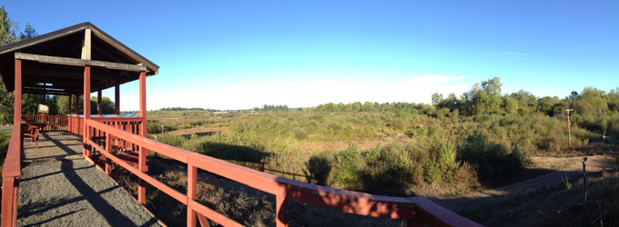 Jackson Bottom Wetlands Preserve - Photo 1