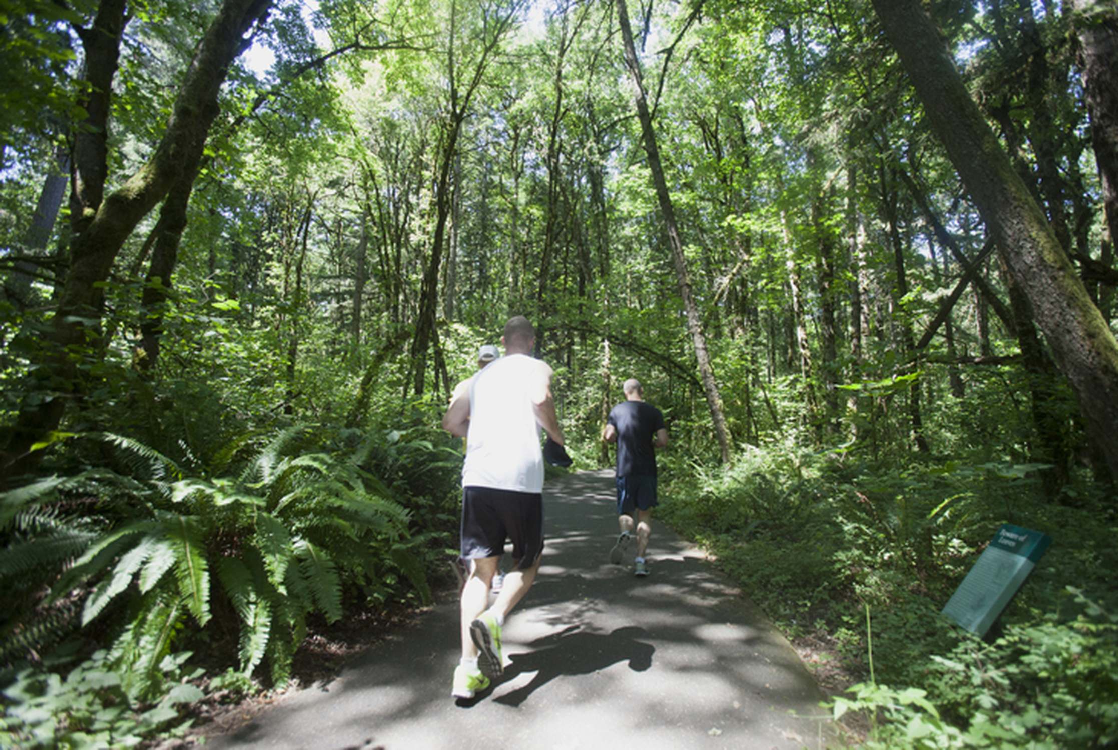 Tualatin Hills Nature Park - Photo 1