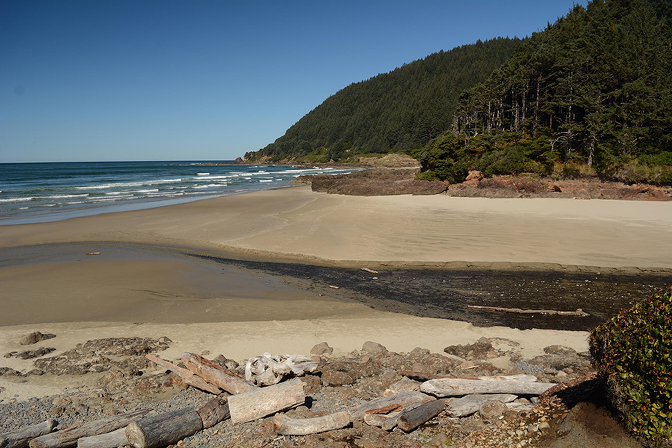 Neptune State Scenic Viewpoint - Photo 1