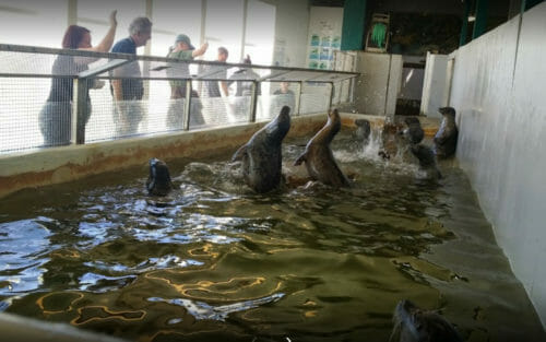 Seaside Aquarium - Photo 1
