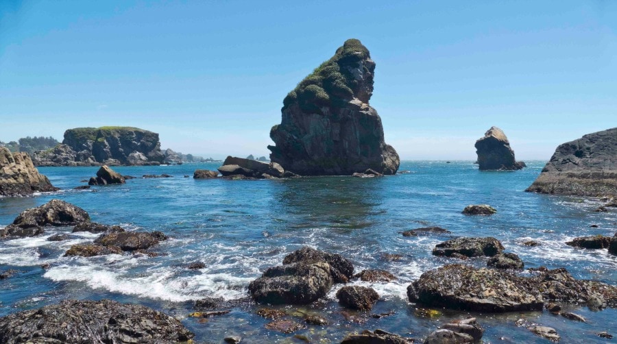 Harris Beach - Photo 1