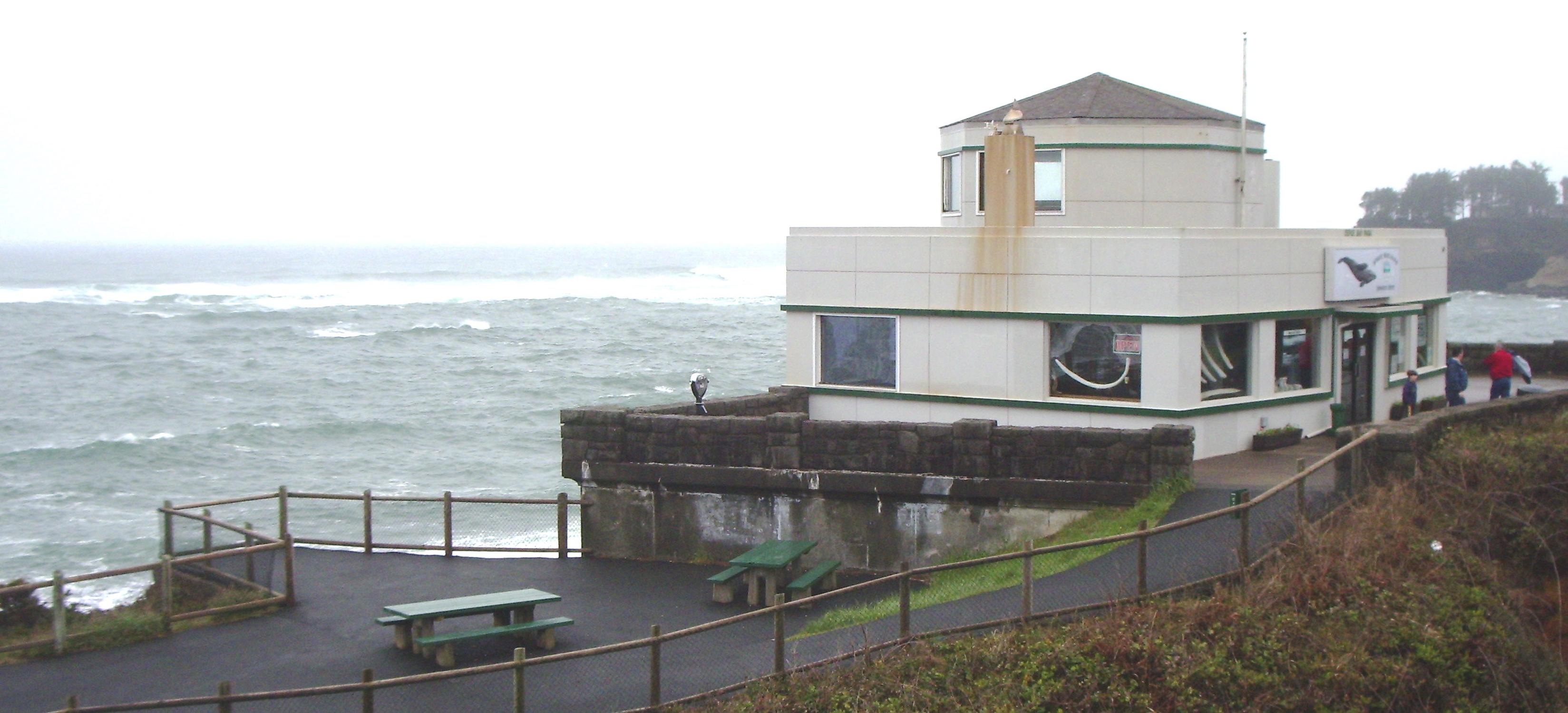 Whale Watching Center - Photo 1