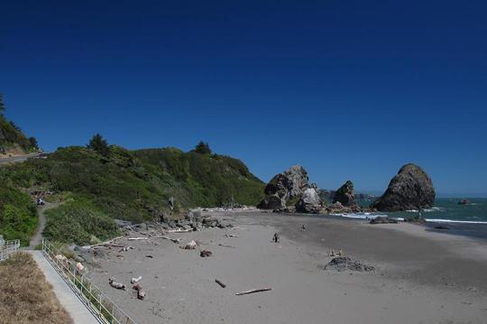 Harris Beach State Park - Photo 1