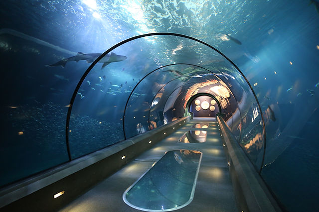Oregon Coast Aquarium - Photo 1