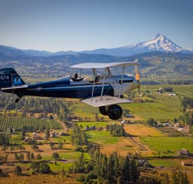 Western Antique Aeroplane & Automobile Museum - Photo 1