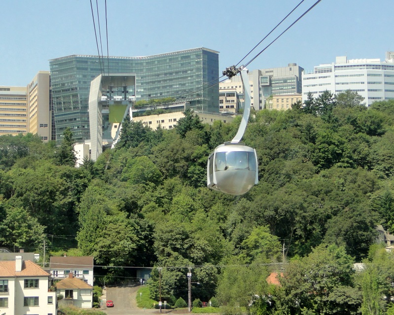 Marquam Hill - Photo 1