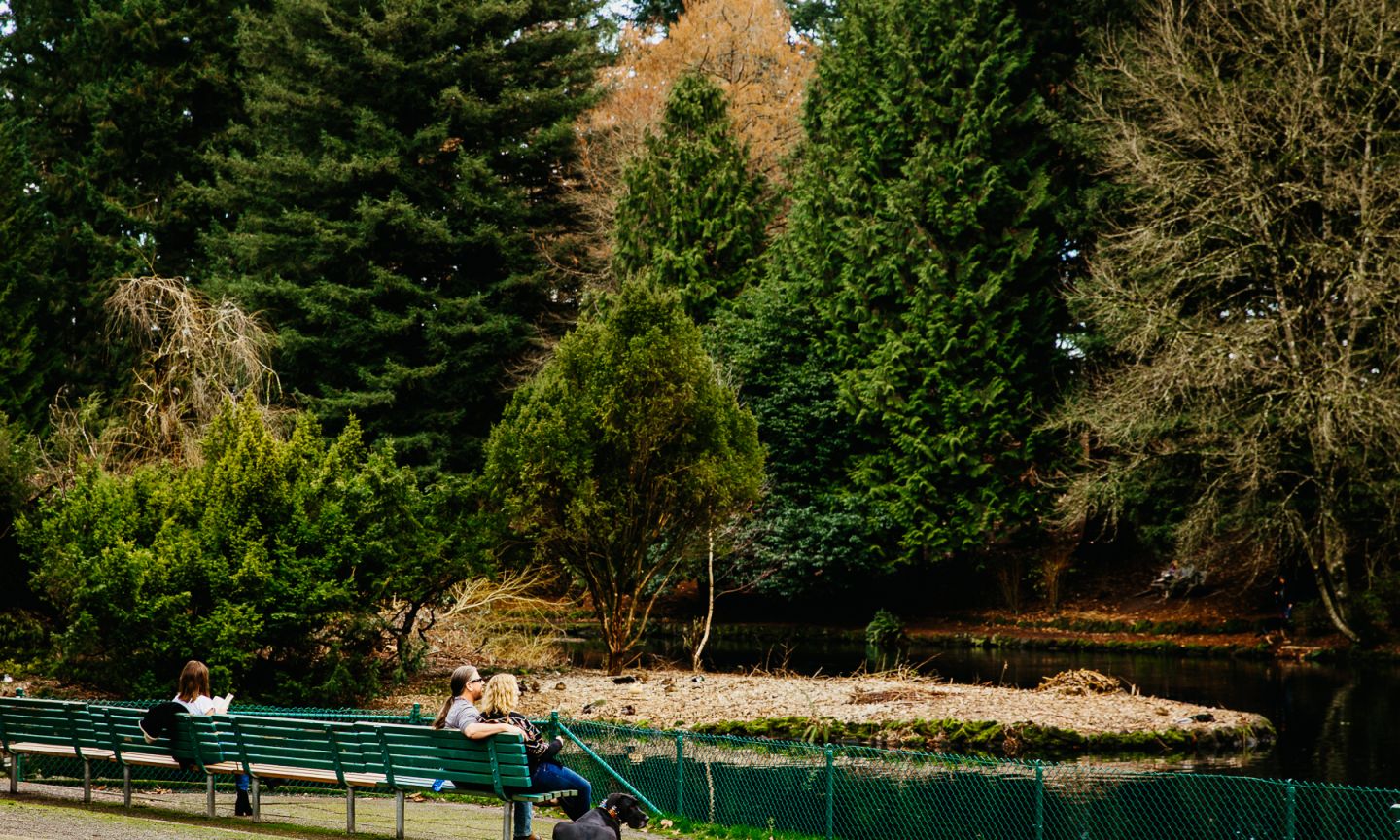 Laurelhurst - Photo 1