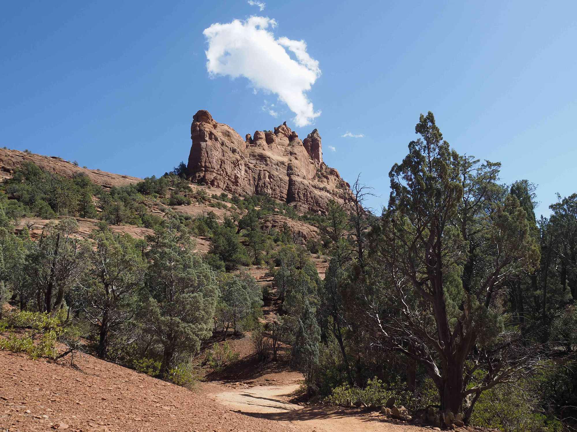 Sloan Canyon National Conservation Area - Photo 1