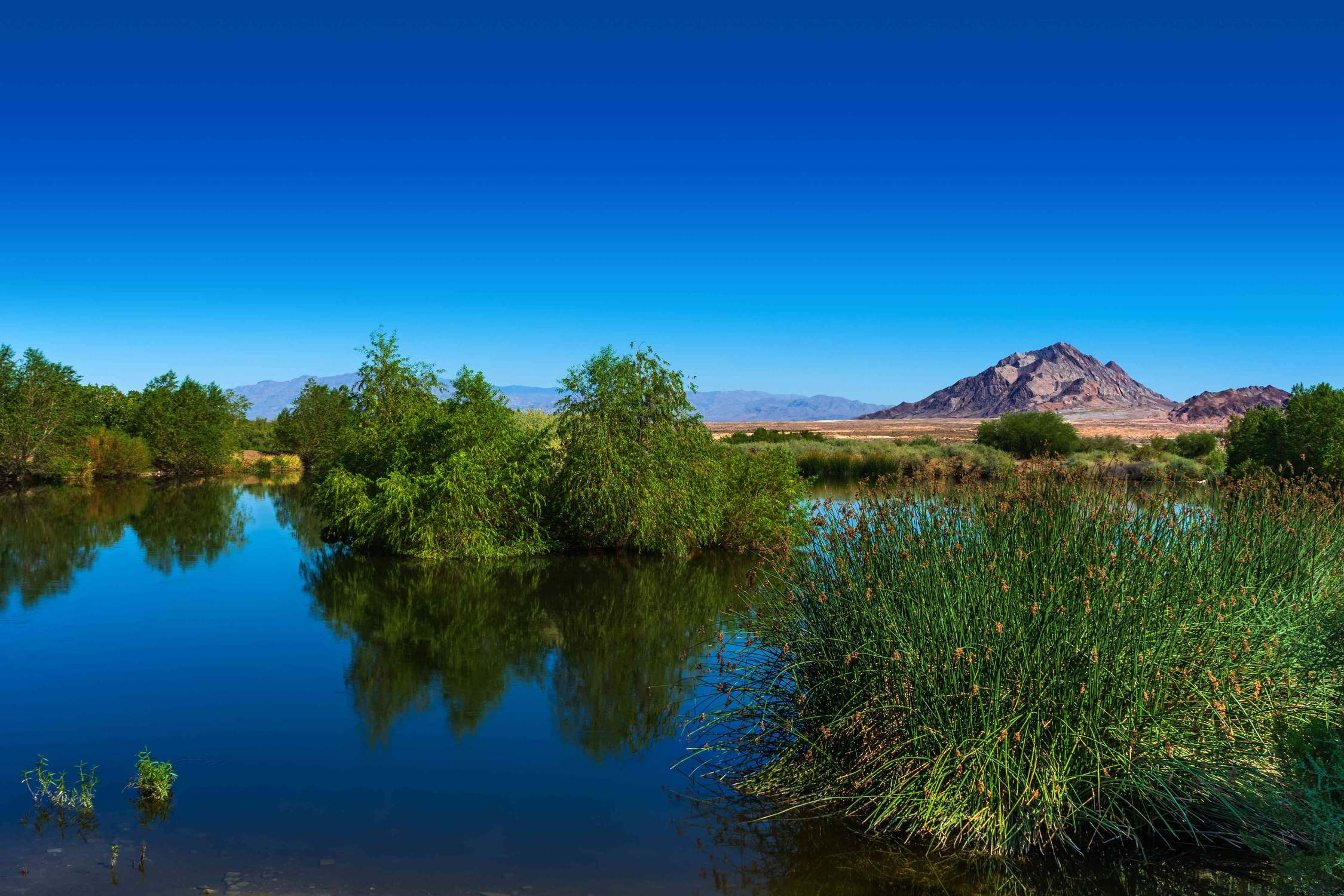 Clark County Wetlands Park - Photo 1