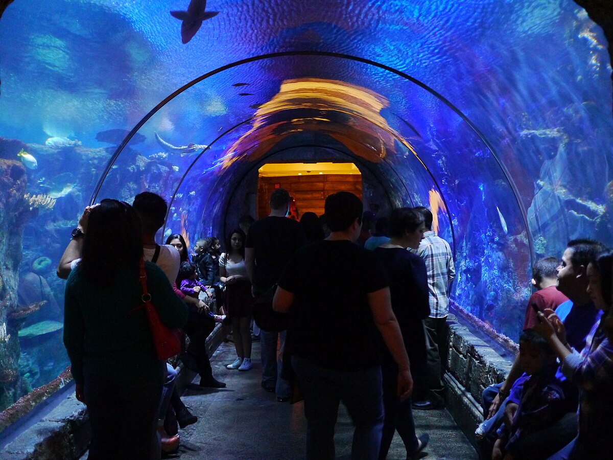 Shark Reef Aquarium - Photo 1