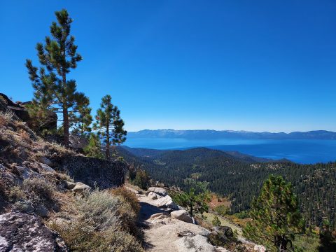 Spooner Summit Trailhead - Photo 1