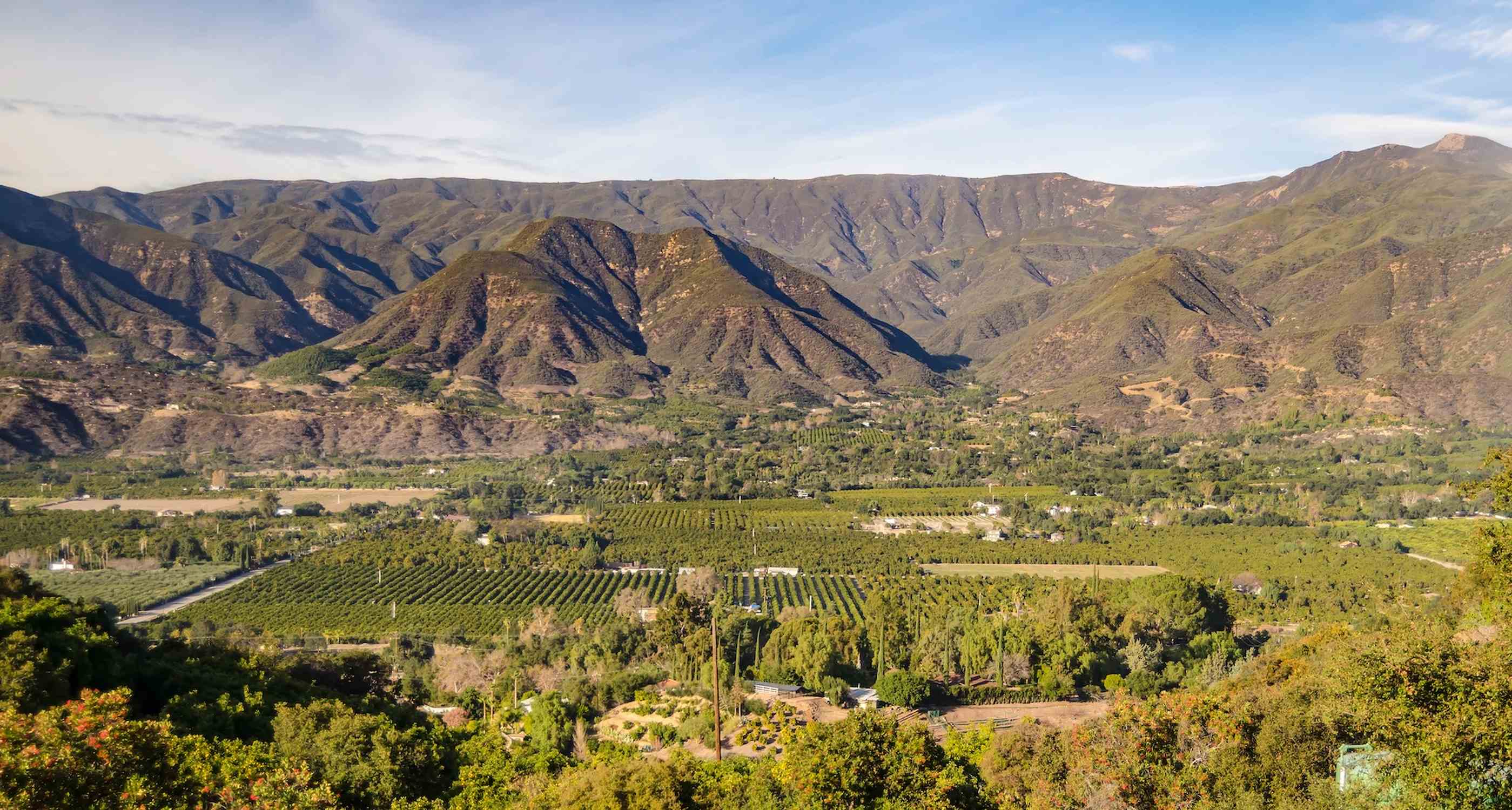 Ojai - Photo 1