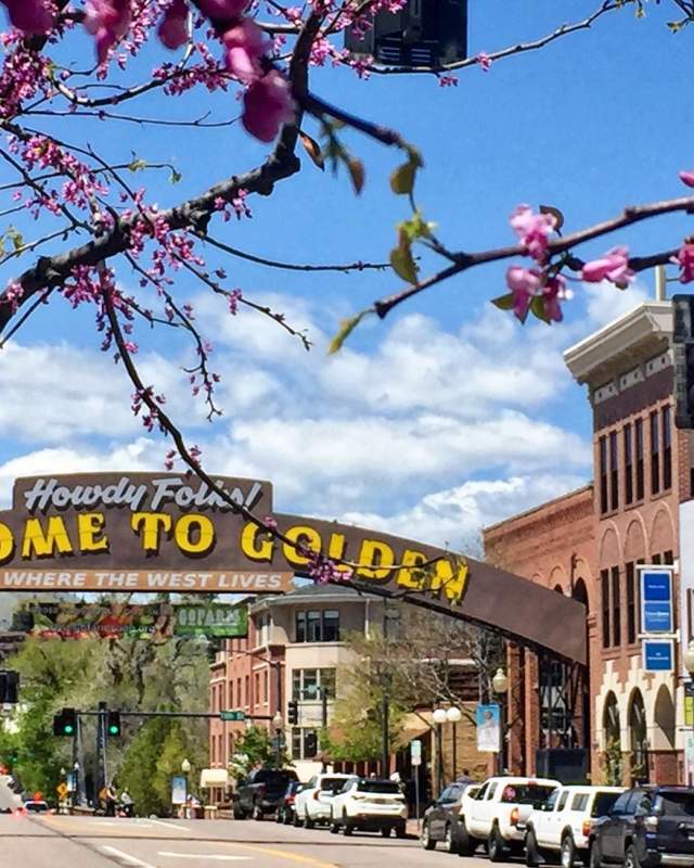 Golden - Photo 1