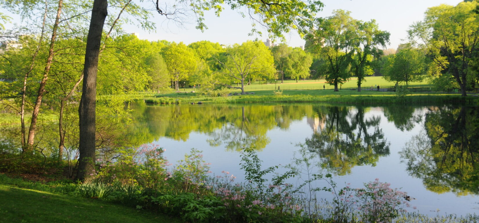 Turtle Pond - Photo 1
