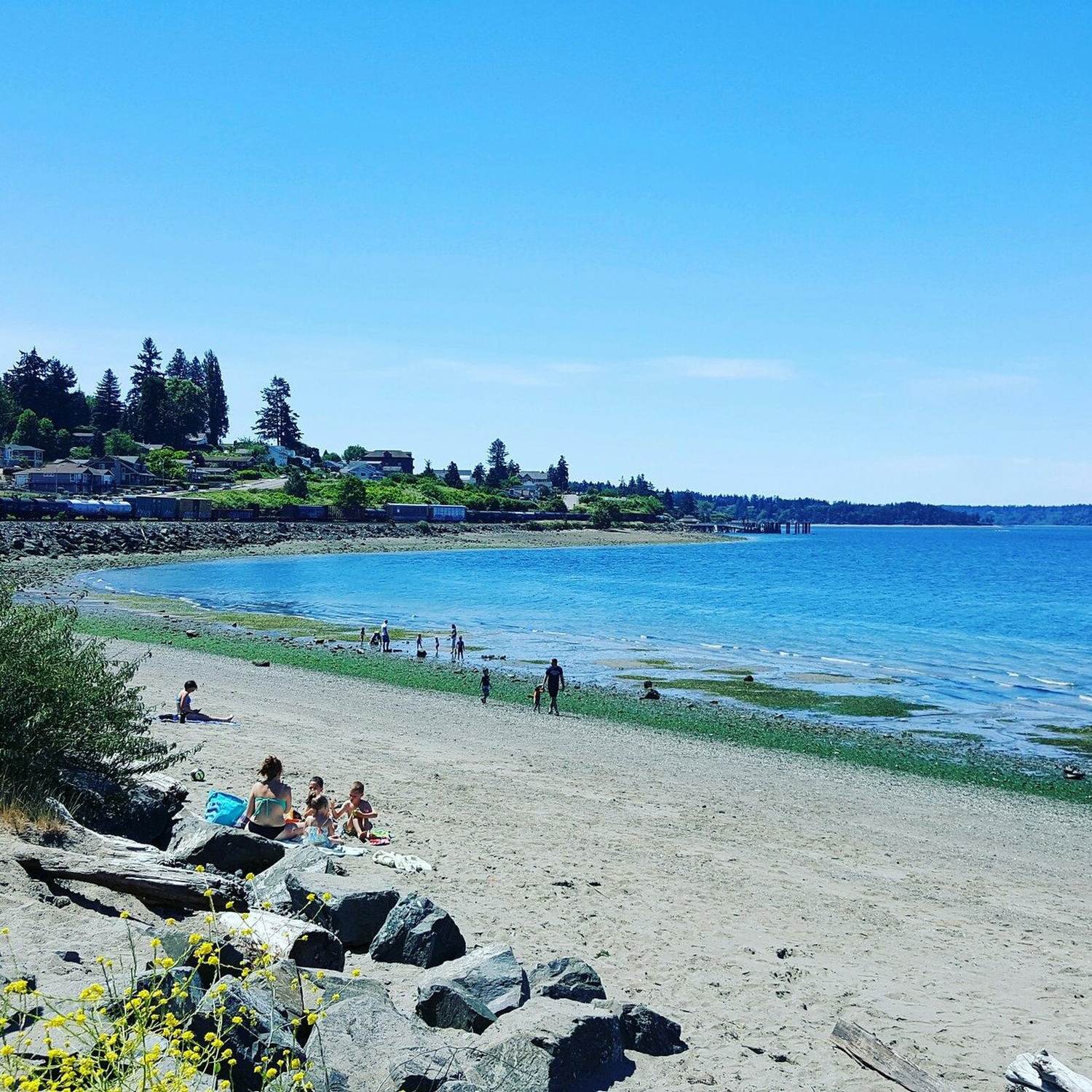 Steilacoom - Photo 1