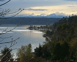 Burien - Photo 1