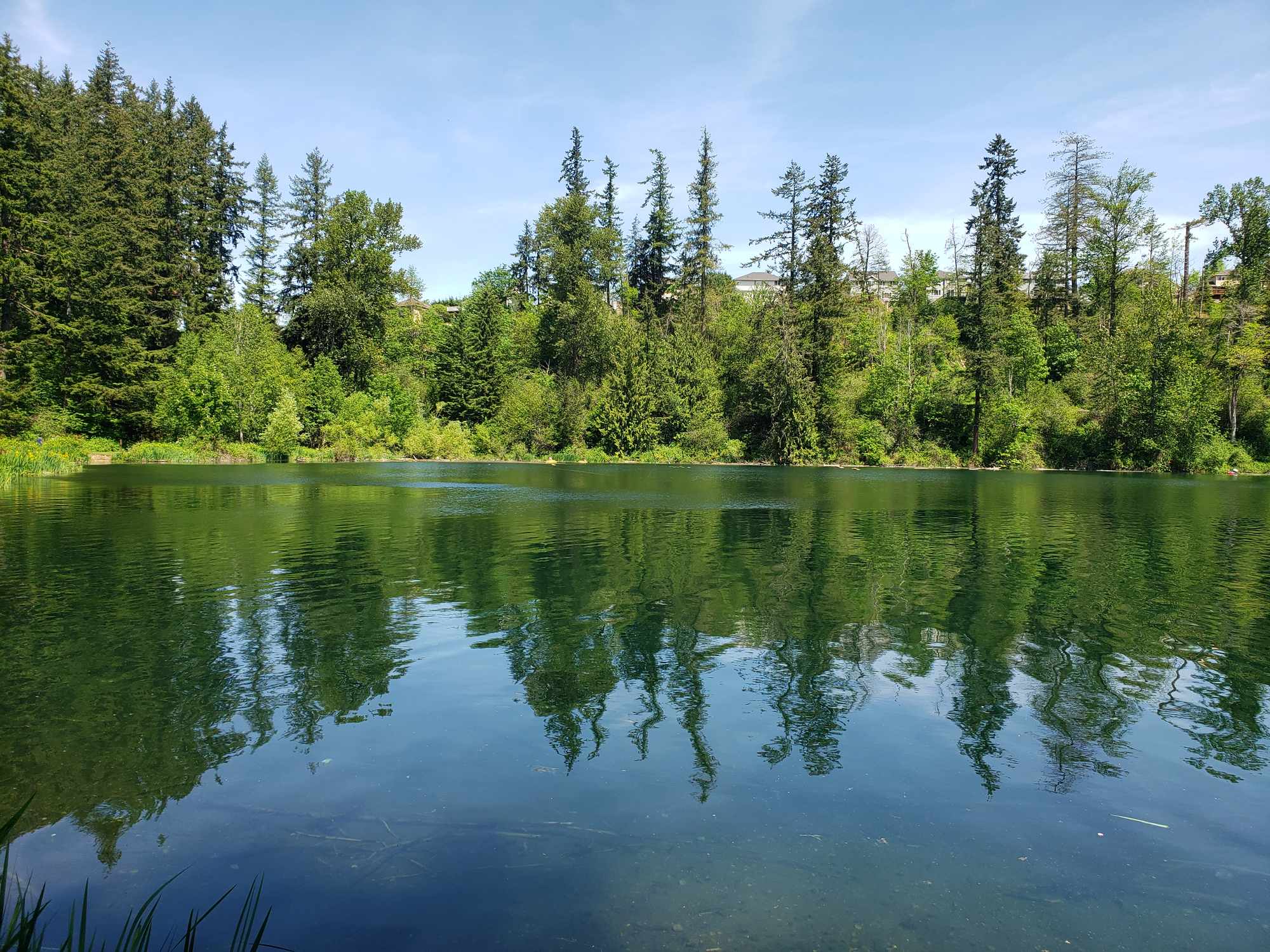 Maple Valley - Photo 1