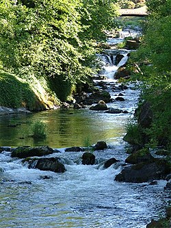 Tumwater - Photo 1
