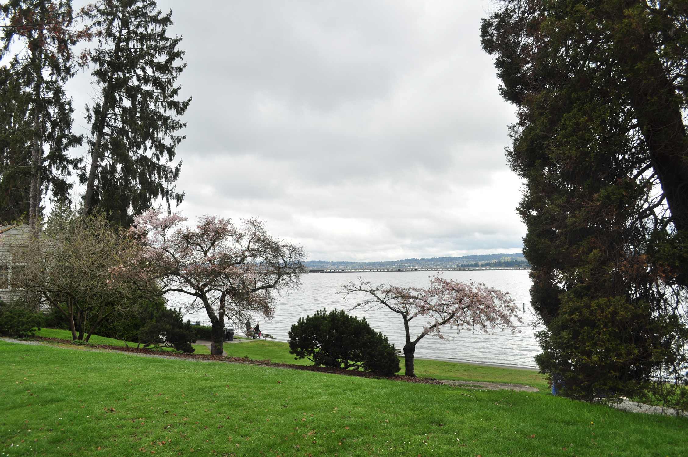 Madison Park - Photo 1