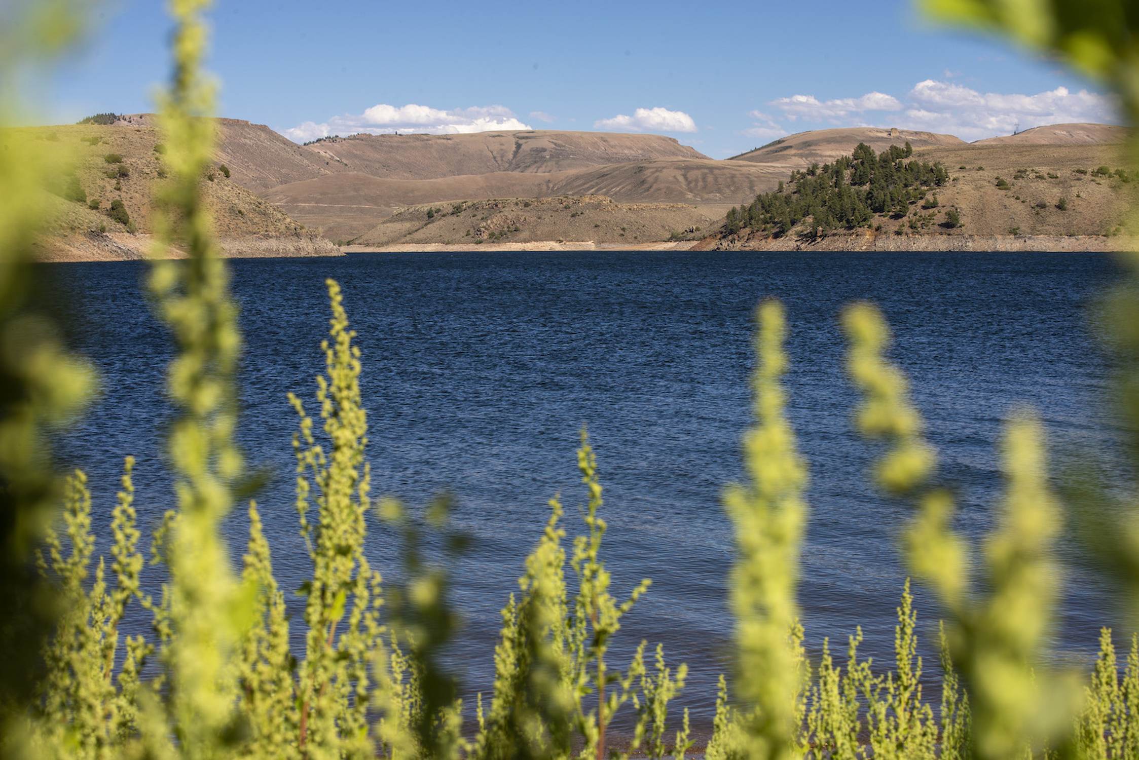 Blue Mesa Reservoir - Photo 1