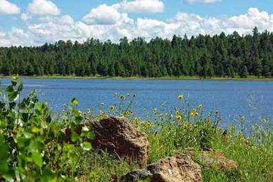 Upper Lake Mary - Photo 1