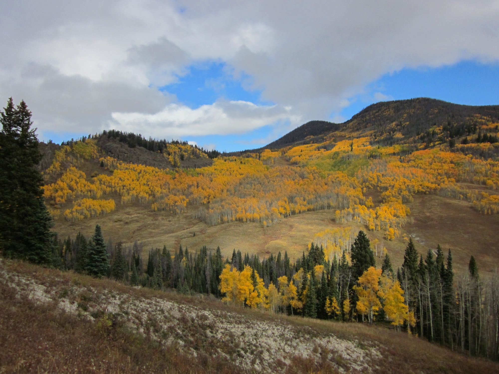 Arapaho National Forest - Photo 1
