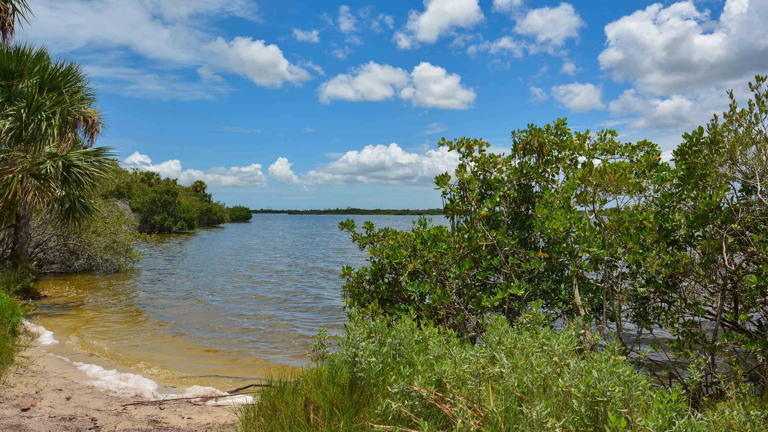 Merritt Island National Wildlife Refuge - Photo 1