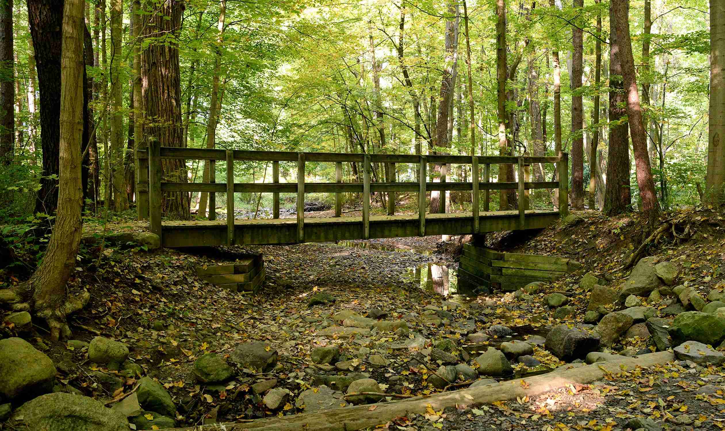 Furnace Run Metro Park - Photo 1