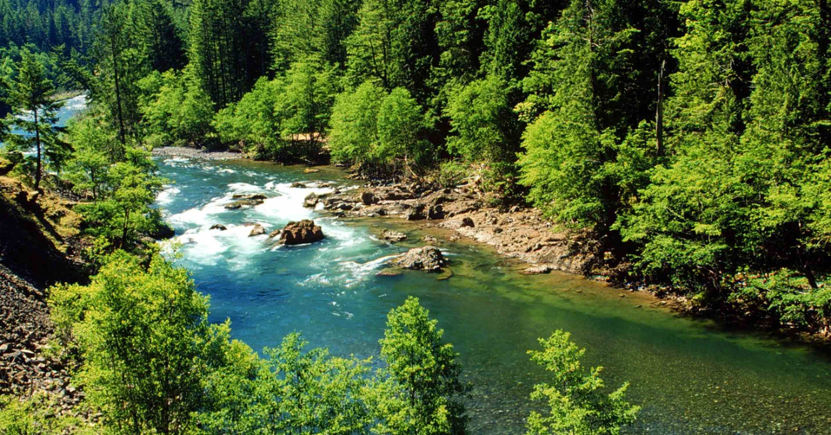 Clackamas River - Photo 1