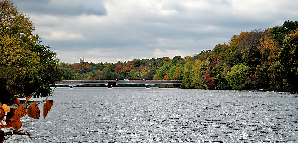 Lake Carnegie - Photo 1