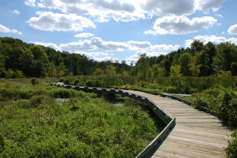 Huntley Meadows Park - Photo 1