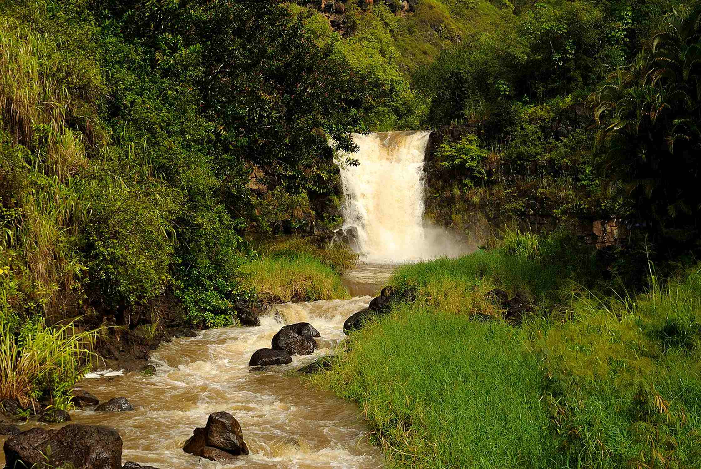 Waimea River - Photo 1