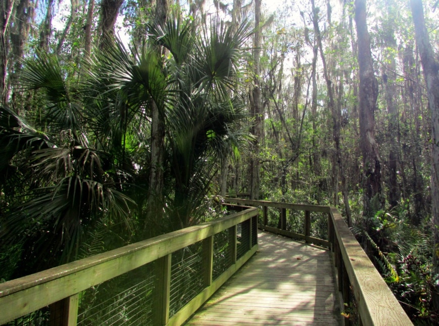 Arthur R. Marshall Loxahatchee National Wildlife Refuge - Photo 1