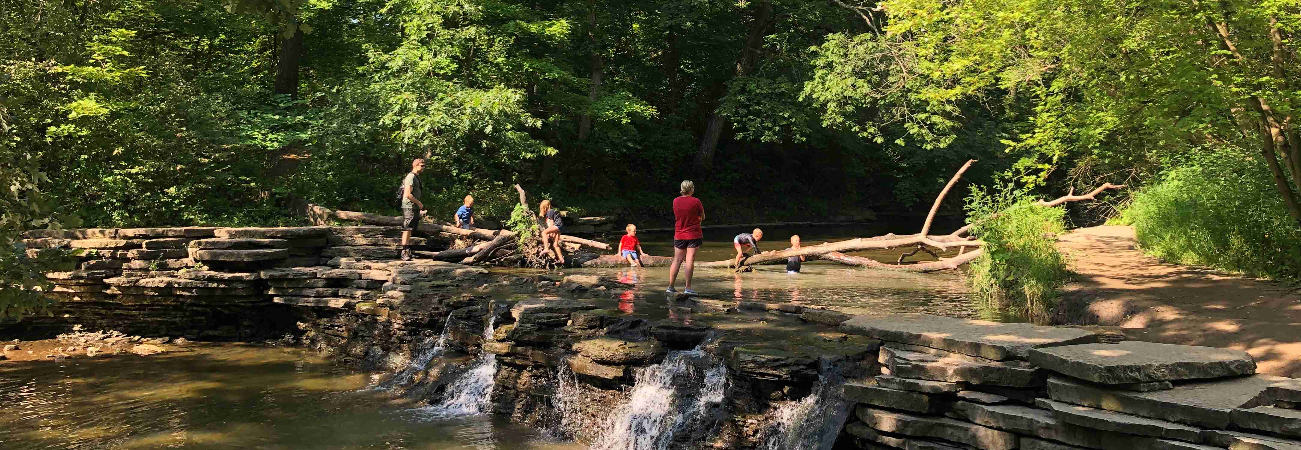 Waterfall Glen Forest Preserve - Photo 1