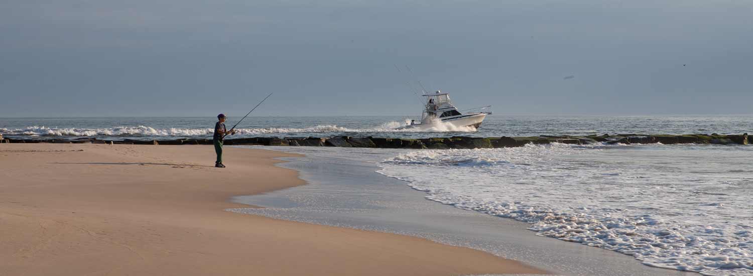 Delaware Seashore State Park - Photo 1